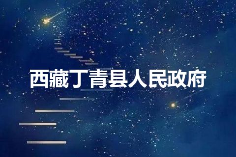 西藏丁青县人民政府