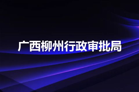 广西柳州行政审批局