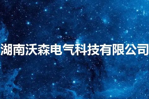 湖南沃森电气科技有限公司