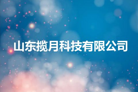 山东揽月科技有限公司 山东揽月科技有限公司