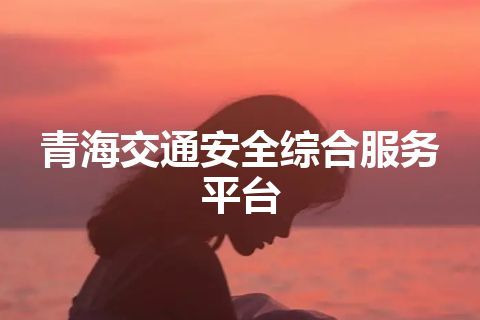 青海交通安全综合服务平台