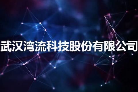 武汉湾流科技股份有限公司