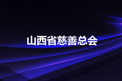 山西省慈善总会