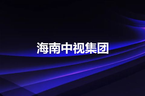 海南中视集团 海南中视集团