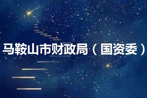 马鞍山市财政局（国资委）