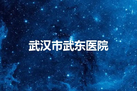 武汉市武东医院 武汉市武东医院