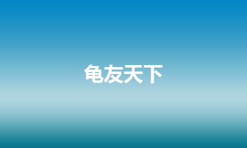 龟友天下