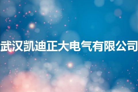 武汉凯迪正大电气有限公司 武汉凯迪正大电气有限公司