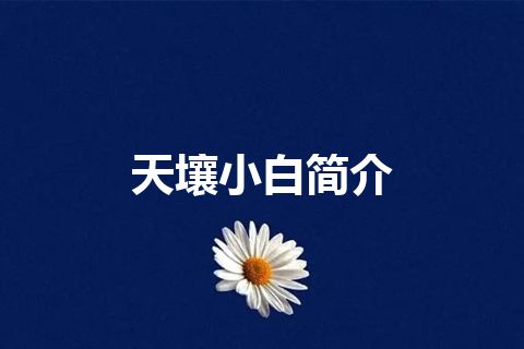 天壤小白简介 天壤小白简介