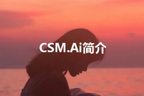 CSM.Ai简介 CSM.Ai简介