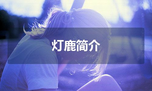 灯鹿简介