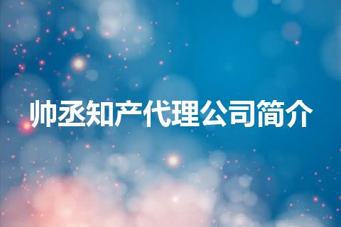 帅丞知产代理公司简介 帅丞知产代理公司简介