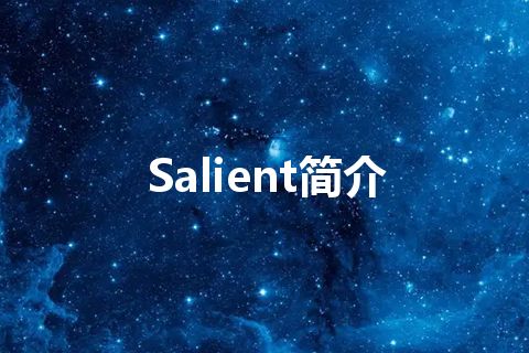 Salient简介 Salient简介