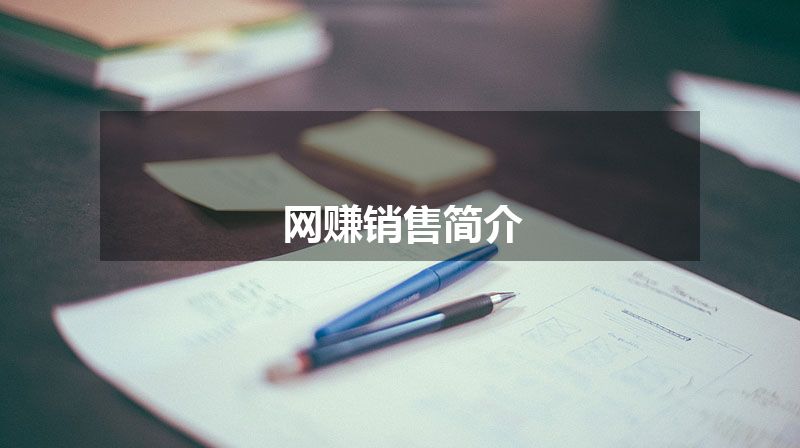 网赚销售简介