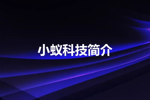 小蚁科技简介