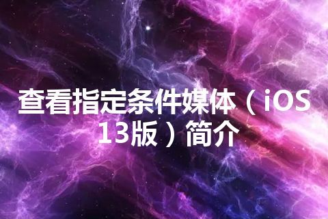 查看指定条件媒体（iOS13版）简介