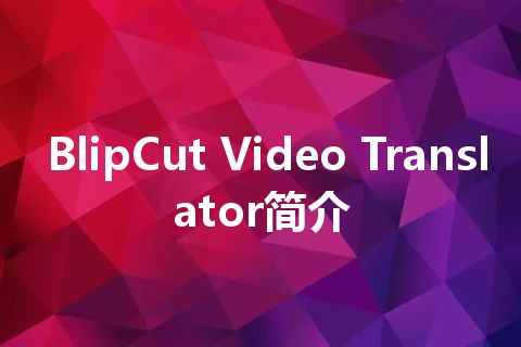 BlipCut Video Translator简介