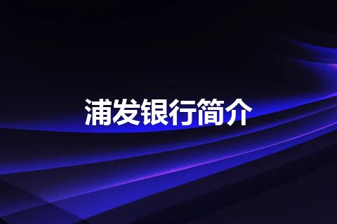 浦发银行简介 浦发银行简介