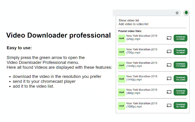 Video Downloader professional