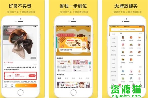 栗子树 栗子树