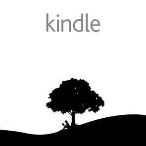 缤闹kindle论坛logo图标