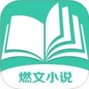 燃文小说网logo图标