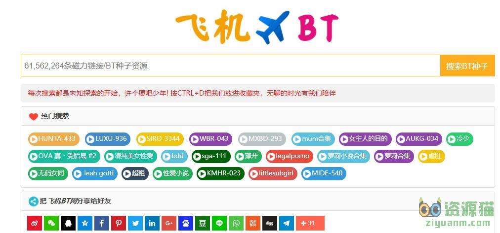 飞机BT网,飞机磁力搜索引擎