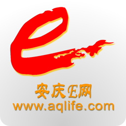 安庆E网logo图标