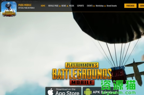 PUBG mobile