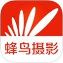 蜂鸟网logo图标