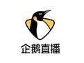 企鹅直播logo图标