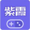 紫霞游戏平台logo图标
