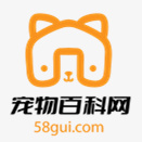 爱龟博客logo图标