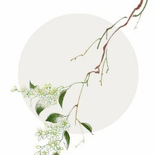 优山美诗logo图标