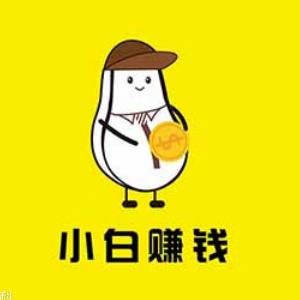 小白赚钱logo图标