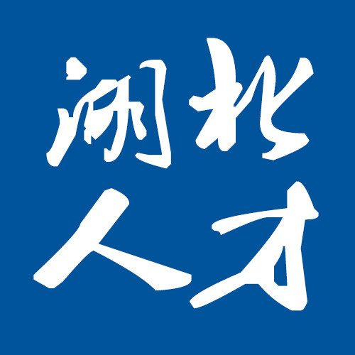 湖北人才网logo图标