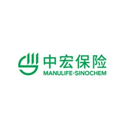 中宏保险logo图标