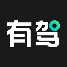 有驾logo图标