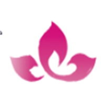 济南人才网logo图标