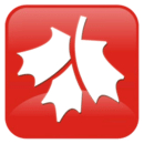 龙柏、乌桕、枫香logo图标