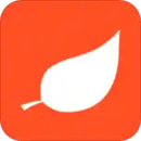 红叶石楠、白玉兰、朴树价格logo图标