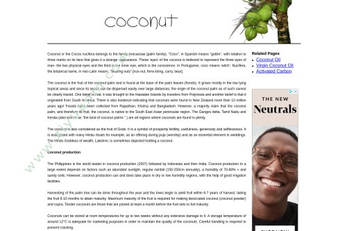 Coconut