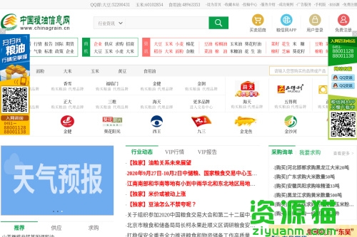 中国粮油信息网