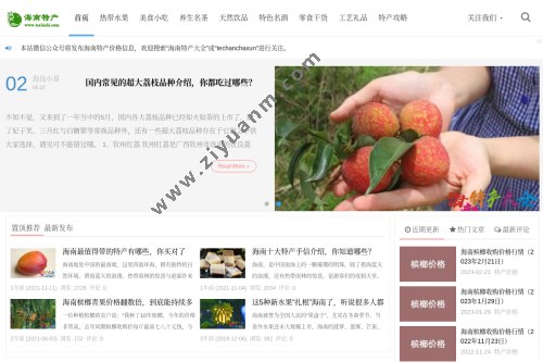 海南特产大全网