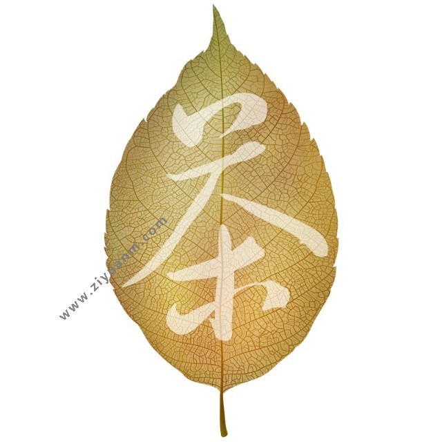 昵茶网logo图标