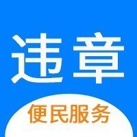 交通违章查询logo图标