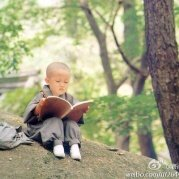 天天看地图logo图标